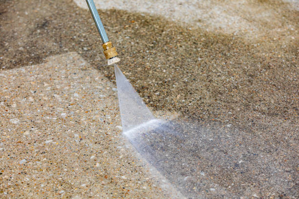 Best Animal Enclosure Cleaning  in Mackinac Island, MI